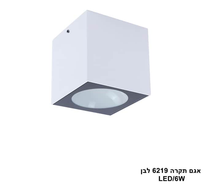 ***אגם תקרה LED 6W 6219 לבן (24002)