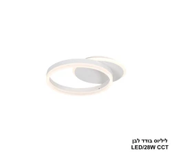 ליליוס בודד לבן.