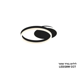 ליליוס בודד שחור.
