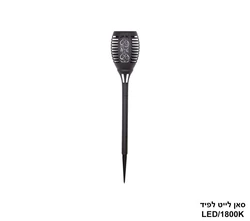 סאן לייט לפיד.