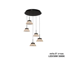 מטריה  5 צלחת.