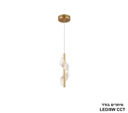 מיתרים בודד.