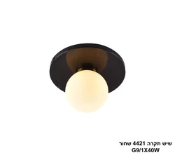 שיש תקרה 4421 שחור
