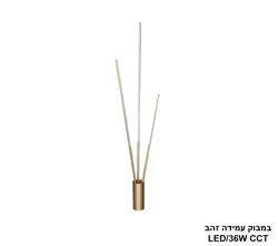 במבוק עמידה זהב