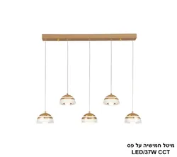 מיטל חמישיה על פס