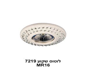 לוטוס שקוע MR16 7219 (22486)