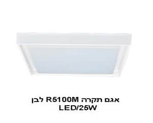 ***אגם תקרה 25W R5100M לבן (21856)