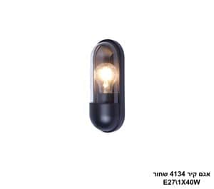 אגם קיר 4134 שחור IP65 (24968)