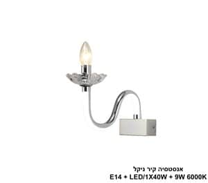 אנסטסיה קיר ניקל (24401)