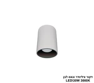 ***דקור צילינדר וגאס לבן LED 30W 3000K (24704)