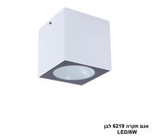 ***אגם תקרה LED 6W 6219 לבן (24002)