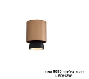 דקור צילינדר 9080 צמוד 12W (23957)