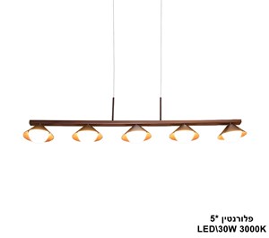 ***פלורנטין *LED 30W 5 (23836)