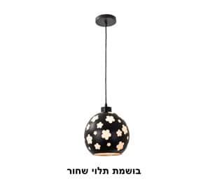 בושמת תלוי שחור (23116)