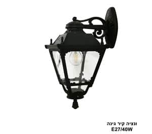 ***ונציה קיר גינה (24083)