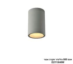 אגם 005 צילינדר תקרה אפור (25923)