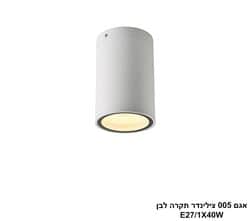 אגם 005 צילינדר תקרה לבן (25923)