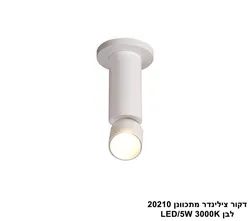 דקור צילינדר מתכוונן 20210 לבן LED