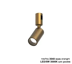 דקורציה מגנט 3040 צילינדר מתכוונן זהב