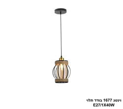 וינטג 1677 בודד תלוי