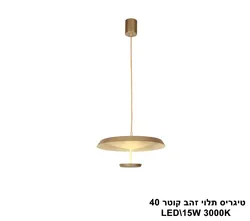 טיגריס תלוי זהב קוטר LED 40
