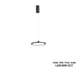 סקיני בודד תלוי שחור LED CCT קוטר 30