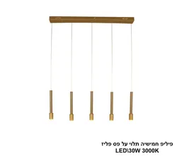 פיליפ חמישיה תלוי על פס פליז LED